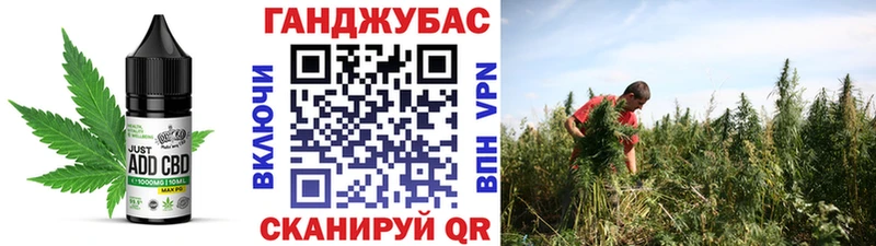 Cannafood конопля  Туран 