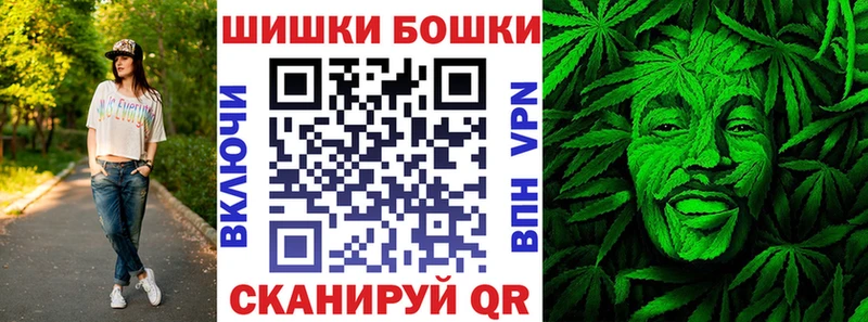 Канабис планчик  Туран 